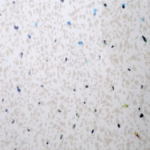 white diamond stone pvc wet wall panels white diamond stone pvc wet wall panels